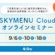 Ｓｋｙ　株式会社