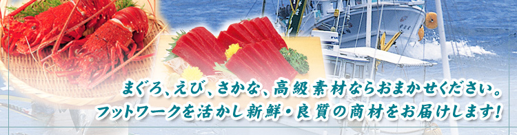海産卸立富ONLINE　（立富株式会社）