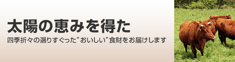 【太陽のマルシェ.net】　株式会社太陽が運営する企業向けWEB発注サイト