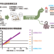 国立大学法人　千葉大学