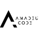 株式会社　Ａｍａｄｅｕｓ Ｃｏｄｅ