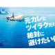 エイベックス通信放送　株式会社