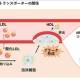 明治ホールディングス