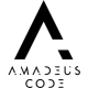 株式会社　Ａｍａｄｅｕｓ Ｃｏｄｅ