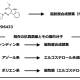 理化学研究所