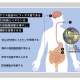 江崎グリコ　株式会社