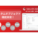 ＳＡＬＥＳ ＧＯ　株式会社