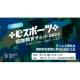 特定非営利活動法人　国際教育ｅスポーツ連盟ネットワーク日本本部