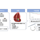 学校法人　順天堂