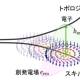 理化学研究所