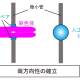 理化学研究所