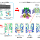 国立大学法人　千葉大学