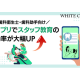 ＷＨＩＴＥ ＣＲＯＳＳ　株式会社
