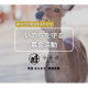株式会社　ファンバウンド