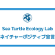 特定非営利活動法人　Ｓｅａ Ｔｕｒｔｌｅ Ｅｃｏｌｏｇｙ Ｌａｂ
