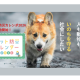 特定非営利活動法人　人と動物の共生センター
