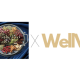 株式会社　ＷｅｌｌＶｉ