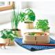 聖新陶芸　株式会社