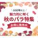 株式会社　ｆｒａｎｔｏｌｉｖｅ