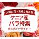 株式会社　ｆｒａｎｔｏｌｉｖｅ