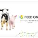 フィード・ワン　株式会社