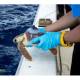 特定非営利活動法人　Ｓｅａ Ｔｕｒｔｌｅ Ｅｃｏｌｏｇｙ Ｌａｂ