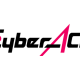 株式会社　ＣｙｂｅｒＡＣＥ
