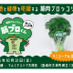 株式会社　ＩＮＧＥＮ