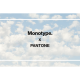 Ｍｏｎｏｔｙｐｅ　株式会社