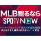 株式会社　ＳＰＯＴＶ ＪＡＰＡＮ