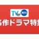 株式会社　ＴＶｅｒ