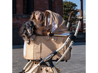 株式会社　クリエイティブヨーコ