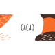 株式会社　ＣＡＣＡＯ