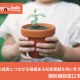 特定非営利活動法人　ブリッジフォースマイル
