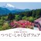 株式会社　小田急リゾーツ
