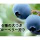 株式会社　さがみこファーム