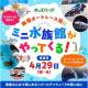オッズ・パーク　株式会社