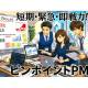 日本プロジェクトソリューションズ　株式会社