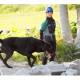ＮＰＯ法人　救助犬訓練士協会