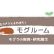 豊橋市