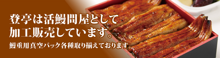 【活鰻問屋  登亭】　登亭本社株式会社が運営する企業向けWEB発注サイト