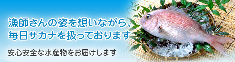 ウエダワールド 宮城県仙台市の水産卸 旬な魚を取り扱っており