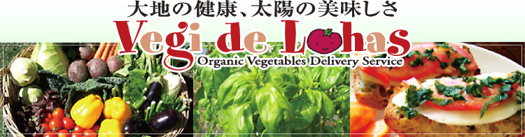 【Vegi de Lohas（ベジ・デ・ロハス）】　Ｖｅｇｉ　ｄｅ　Ｌｏｈａｓが運営する企業向けWEB発注サイト