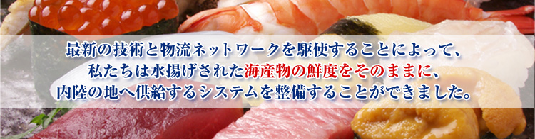 M-F ONLINE『シーフード＆食材』の㈱マサヤーフーズ　