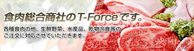 T-Force-NET