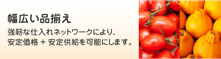 【松戸大栄青果.COM】　株式会社松戸大栄青果が運営する企業向けWEB発注サイト