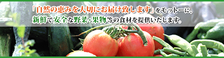【シンワ野菜ＯＮＬＩＮＥ】　株式会社シンワが運営する企業向けWEB発注サイト